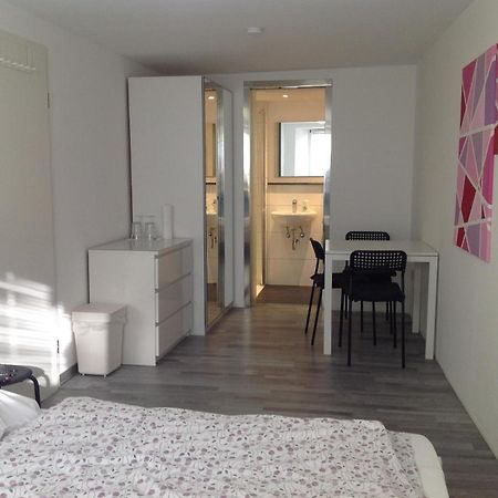 Stadtmitte Ferienwohnung Waldshut Eksteriør bilde